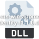 api-ms-win-appmodel-identity-l1-1-0