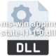 api-ms-win-appmodel-state-l1-1-0