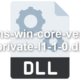 api-ms-win-core-version-private-l1-1-0