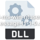api-ms-win-ntuser-ie-message-l1-1-0