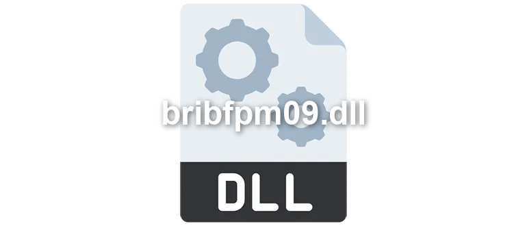 bribfpm09