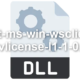 ext-ms-win-wsclient-devlicense-l1-1-0