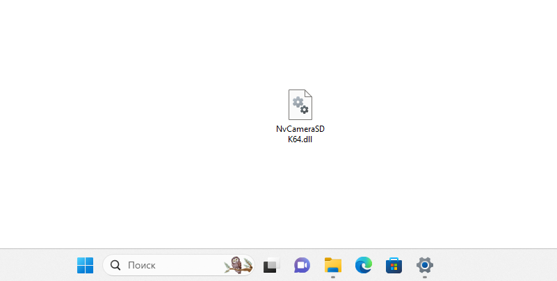 Файл NvCameraSDK64.dll